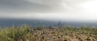 Cliffside environmental details