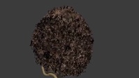 Fixing Franck's hair