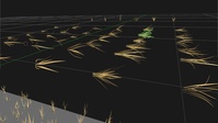 windygrass.mp4