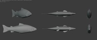 Atlantic Salmon Model Sheet