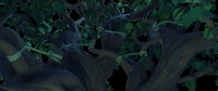 Slingshot Tree - Shot 1