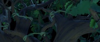 Slingshot Tree - Shot 2
