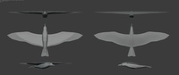 Seagull Model Sheet