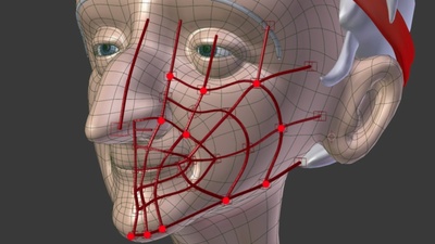 BlenRig_5_Quick_Introduction_Guide.pdf