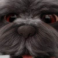 秋天 - 毛皮和紋理 進行中 1