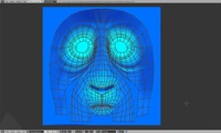 Franck's face, flattened