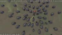 The whole flocking flock
