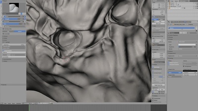 Step 01 - Sculpting