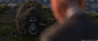 Franck fur render: without camera culling
