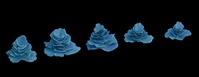 Corals Stacked