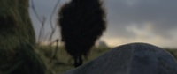 Franck hanging, fully rendered