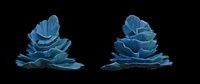 Stacked Coral Overview