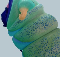 Mushroom caterpillar
