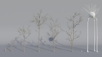 Tree Model Arrangements Tests 04
