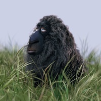Franck on Monday, sitting in the grass