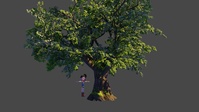 Oak tree 1: Adding branches from the library