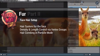 2. Facial Hair Set-Up
