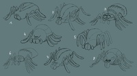 spiders_designs1.jpg
