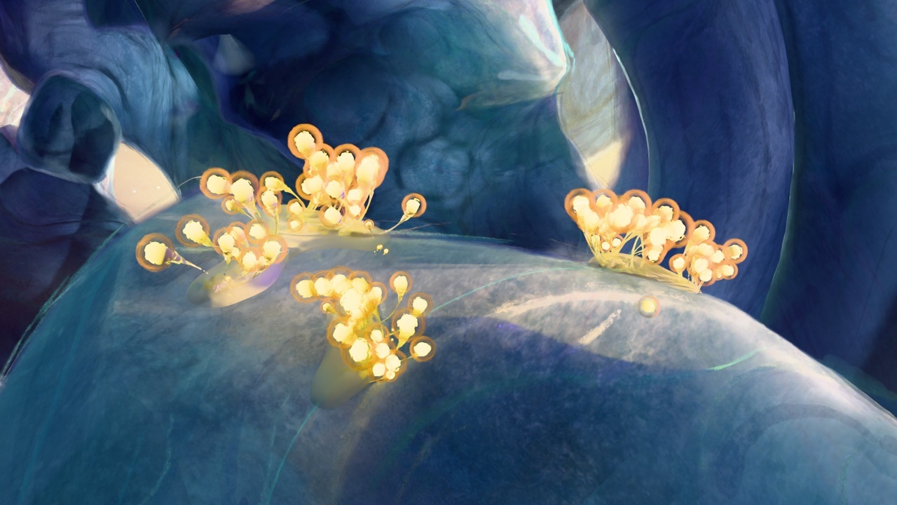 production log preview