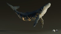 Whale - Shattered with Light