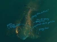 黃金軌跡FX概念藝術2