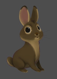 rabbit_preview.jpg