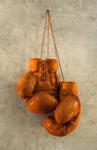 Vintage Boxing Gloves