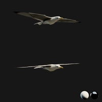 Seagull Review Turntable