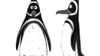 Timelapse: Pinguino modelling