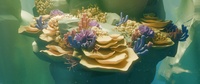 Reef shot v04