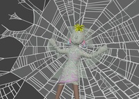 Spiderweb membranes