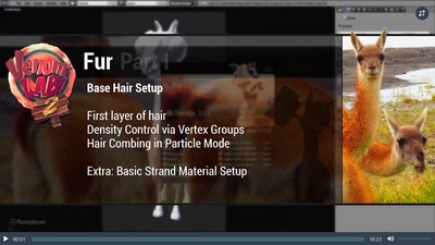 1. Base Hair Set-Up