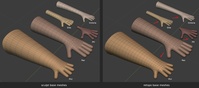Human arm, hands, fingers - mesh re-use