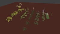Plants growing + cycle