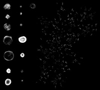 Star splatter concept