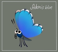 Butterfly final design