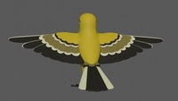Bird Sculpting (Expression)
