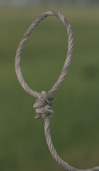 Modeling the noose 2