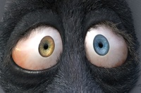 Eye tweaking: the original