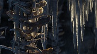 01_005_A - Render Test 2
