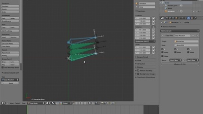 05 Palm Rig