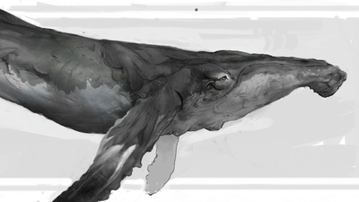 Whale - Early Concept