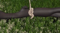 Branch-grass intersection test