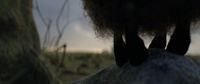 Franck's fuzzy world