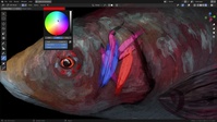 Custom Brush Stroke Draw Tool