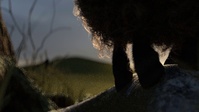 The hanging: low-res with new lighting and hill