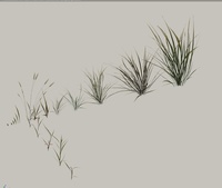 Tufts of grass