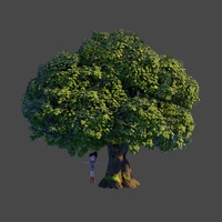Oak tree 1: Particle randomness