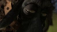 In Franck's eyes