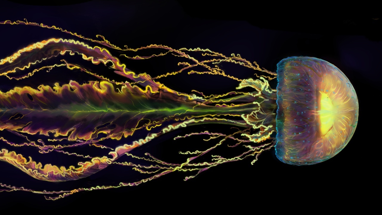 production log preview